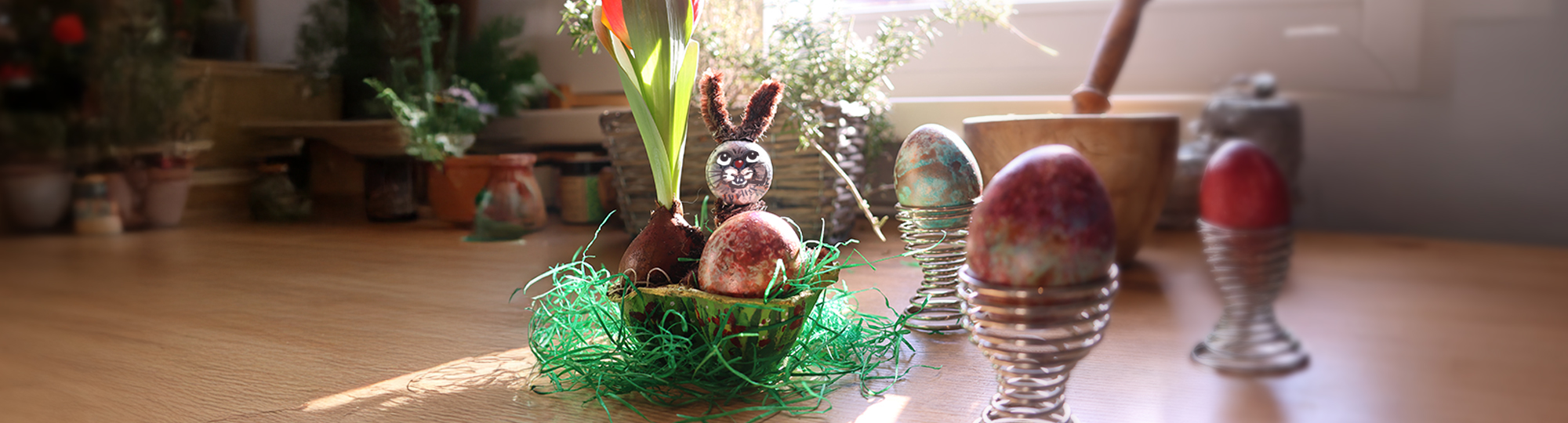 Auf einem sonnigen Holztisch steht eine Osterdekoration: In einem grün bemalten Eierkarton mit Kunstgras, liegen bemalte Eier und eine Tulpenzwiebel mit frischem grünen Trieb.